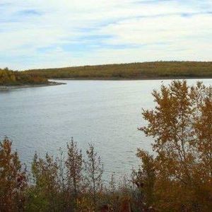 Meet your Posher, Dot